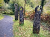 Coed y Brenin Forest [07/10/2022]