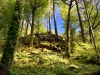 Coed y Brenin Forest [07/10/2022]