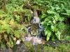 Coed y Brenin Forest [07/10/2022]