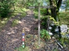 Coed y Brenin Forest [07/10/2022]