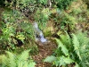 Coed y Brenin Forest [07/10/2022]