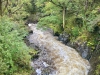 Coed y Brenin Forest [07/10/2022]