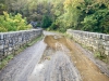 Coed y Brenin Forest [07/10/2022]