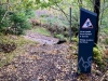 Coed y Brenin Forest [07/10/2022]