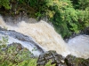 Coed y Brenin Forest [07/10/2022]