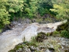 Coed y Brenin Forest [07/10/2022]