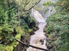 Coed y Brenin Forest [07/10/2022]