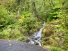 Coed y Brenin Forest [07/10/2022]