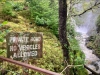 Coed y Brenin Forest [07/10/2022]