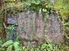 Coed y Brenin Forest [07/10/2022]