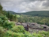 Coed y Brenin Forest [07/10/2022]