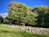 Dyffryn Ardudwy Burial Chamber, Penrhyndeudraeth [05/10/2022]