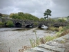 The Mawddach Trail [06/10/2022]