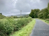 The Mawddach Trail [06/10/2022]