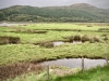 The Mawddach Trail [06/10/2022]