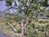 The Mawddach Trail [06/10/2022]