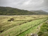 The Mawddach Trail [06/10/2022]