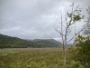 The Mawddach Trail [06/10/2022]