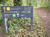 Clocaenog Forest, Wales [07-10-2023]