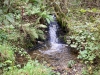 Clocaenog Forest, Wales [07-10-2023]