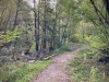 Clocaenog Forest, Wales [07-10-2023]