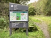 Clocaenog Forest, Wales [07-10-2023]