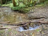 Clocaenog Forest, Wales [07-10-2023]