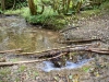 Clocaenog Forest, Wales [07-10-2023]