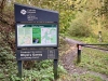 Clocaenog Forest, Wales [07-10-2023]