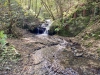 Clocaenog Forest, Wales [07-10-2023]