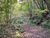 Clocaenog Forest, Wales [07-10-2023]