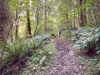 Clocaenog Forest, Wales [07-10-2023]