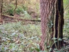 Clocaenog Forest, Wales [07-10-2023]