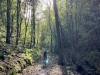 Clocaenog Forest, Wales [07-10-2023]