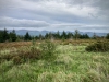 Clocaenog Forest, Wales [05/10/2023]