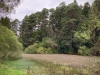 Clocaenog Forest, Wales [05/10/2023]