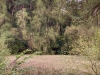 Clocaenog Forest, Wales [05/10/2023]