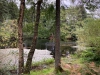 Clocaenog Forest, Wales [05/10/2023]