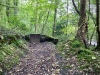 Lady Bagot's Walk, Rhewl, Wales [06/10/2023]