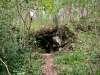 Lady Bagot's Walk, Rhewl, Wales [06/10/2023]