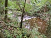 Lady Bagot's Walk, Rhewl, Wales [06/10/2023]