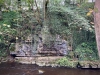 Lady Bagot's Walk, Rhewl, Wales [06/10/2023]