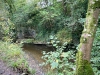 Lady Bagot's Walk, Rhewl, Wales [06/10/2023]