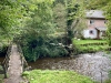 Lady Bagot's Walk, Rhewl, Wales [06/10/2023]