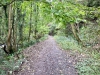 Lady Bagot's Walk, Rhewl, Wales [06/10/2023]
