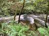 Lady Bagot's Walk, Rhewl, Wales [06/10/2023]