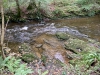 Lady Bagot's Walk, Rhewl, Wales [06/10/2023]