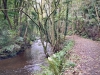 Lady Bagot's Walk, Rhewl, Wales [06/10/2023]