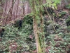 Lady Bagot's Walk, Rhewl, Wales [06/10/2023]