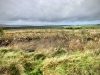 Llyn Brenig & Llyn Alwen, Wales [04/10/2023]